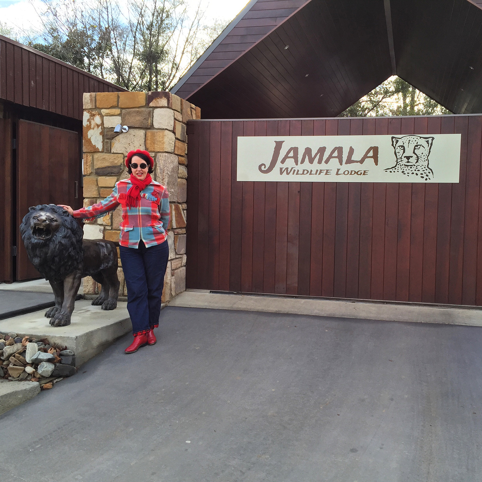 Going on safari at Jamala Wildlife Lodge